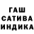 Канабис SATIVA & INDICA Gladiator King
