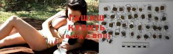стаф Вязьма
