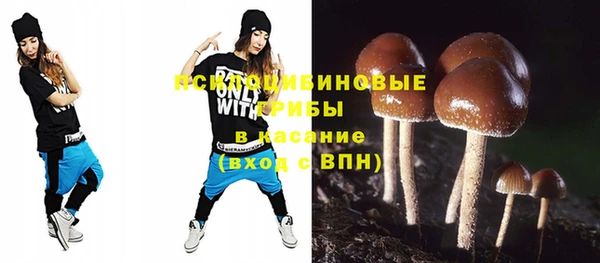 стаф Вязьма