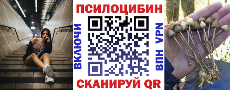 Галлюциногенные грибы прущие грибы  MEGA как зайти  Тбилисская 